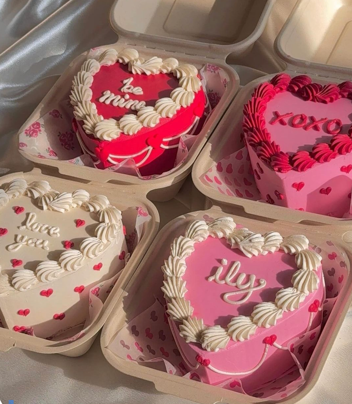 FEB 16 | SIP & CAKE: Bento box cake decorating workshop | 1:00pm-3:30pm